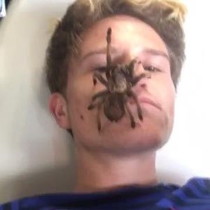 Meet your Posher, Harley